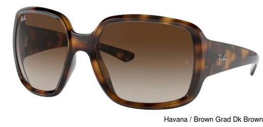 Ray-Ban Sunglasses RB4347 POWDERHORN 710/13