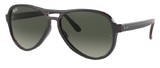 Ray-Ban Sunglasses RB4355 VAGABOND 660571