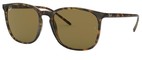 Ray-Ban Sunglasses RB4387 710/73
