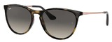 Ray Ban Junior Sunglasses RJ9060S 704911