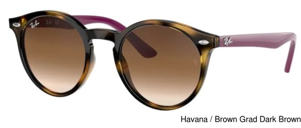 Ray-ban Replacement Lenses 73704