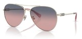 Coach Sunglasses HC7140 90050J
