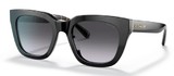 Coach Sunglasses HC8318F 50028G