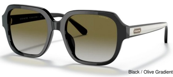 Coach Replacement Lenses 74763