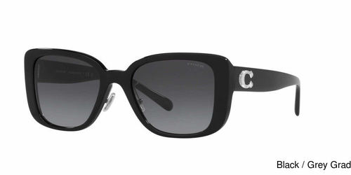 Coach Replacement Lenses 74801