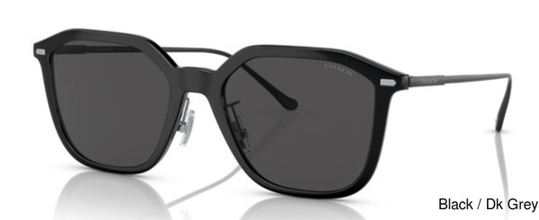 Coach Sunglasses HC8355 Cd461 500287