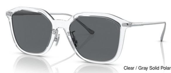 Coach Replacement Lenses 74819