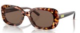 Pearlescent Amber Tort / Brown Solid