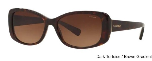 Coach Sunglasses HC8168 L156 500113