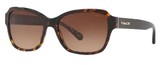 Coach Sunglasses HC8232 L1010 550713