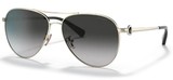 Coach Sunglasses HC7128 C6178 90053C