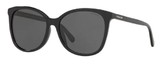 Coach Sunglasses HC8271U L1101 500287