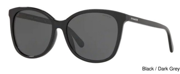 Coach Replacement Lenses 74877