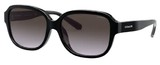 Coach Sunglasses HC8298U L1153 50028G