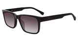 GAP Sunglasses SGP012 BLACK