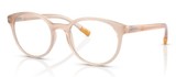 Dolce Gabbana Eyeglasses DG5093 3041