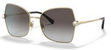 Dolce Gabbana Sunglasses DG2284B 02/8G