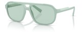 Dolce Gabbana Sunglasses DG6179 3395M1