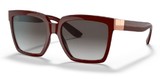 Dolce Gabbana Sunglasses DG6165 32858G