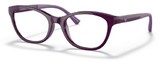 Emporio Armani Eyeglasses EA3204 5115