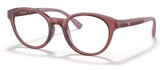 Emporio Armani Eyeglasses EA3205 5075