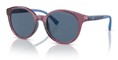 Emporio Armani Sunglasses EA4185 507180