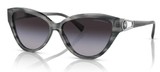 Emporio Armani Sunglasses EA4192 50358G