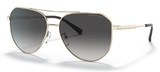 Michael Kors Sunglasses MK1109 Cheyenne 10148G