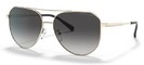 Michael Kors Sunglasses MK1109 Cheyenne