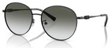 Michael Kors Sunglasses MK1119 Alpine 10058E