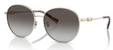 Michael Kors Sunglasses MK1119 Alpine 10148G