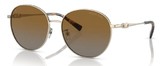Michael Kors Sunglasses MK1119 Alpine 1014T5