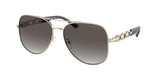 Michael Kors Sunglasses MK1121 Chianti 10148G
