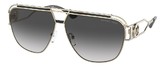 Michael Kors Sunglasses MK1102 Vienna 10148G