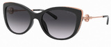 Michael Kors Sunglasses MK2127U South Hampton 33328G