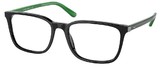 (Polo) Ralph Lauren Eyeglasses PH2234 5246