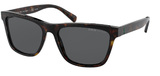(Polo) Ralph Lauren Sunglasses PH4167 500381