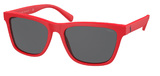(Polo) Ralph Lauren Sunglasses PH4167 525787