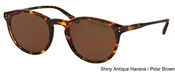 (Polo) Ralph Lauren Sunglasses PH4110 513483.