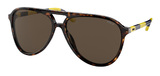 (Polo) Ralph Lauren Sunglasses PH4173 500373