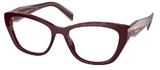 Prada Eyeglasses PR 19WV VIY1O1