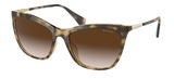 (Ralph) Ralph Lauren Sunglasses RA5289 50033B
