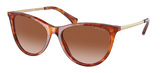 (Ralph) Ralph Lauren Sunglasses RA5290 601113