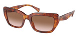 (Ralph) Ralph Lauren Sunglasses RA5292 601113