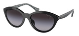 (Ralph) Ralph Lauren Sunglasses RA5295U 50018G