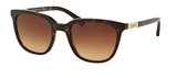(Ralph) Ralph Lauren Sunglasses RA5206 137813