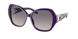 Ralph Lauren Sunglasses RL8202B 5412V6