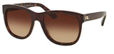 Ralph Lauren Sunglasses RL8141 50033B