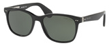 Ralph Lauren Sunglasses RL8162P 500152