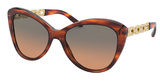 Ralph Lauren Sunglasses RL8184 500718